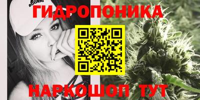 прущие крисы Сланцы