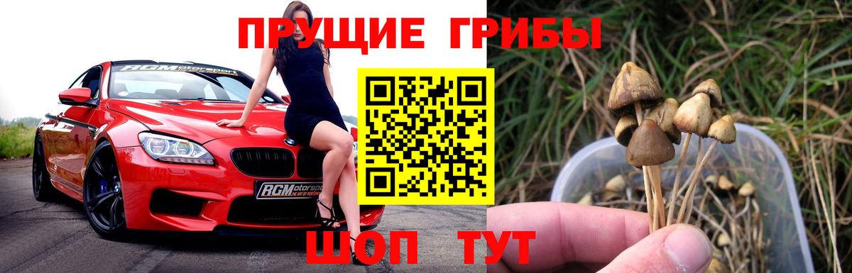 Галлюциногенные грибы Cubensis  Вход с VPN  Острогожск 